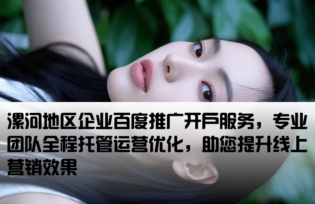 漯河地区企业百度推广开户服务，专业团队全程托管运营优化，助您提升线上营销效果