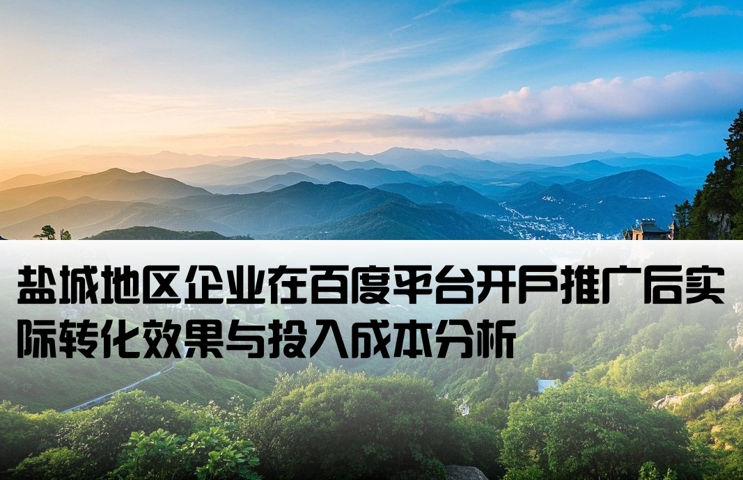 盐城地区企业在百度平台开户推广后实际转化效果与投入成本分析