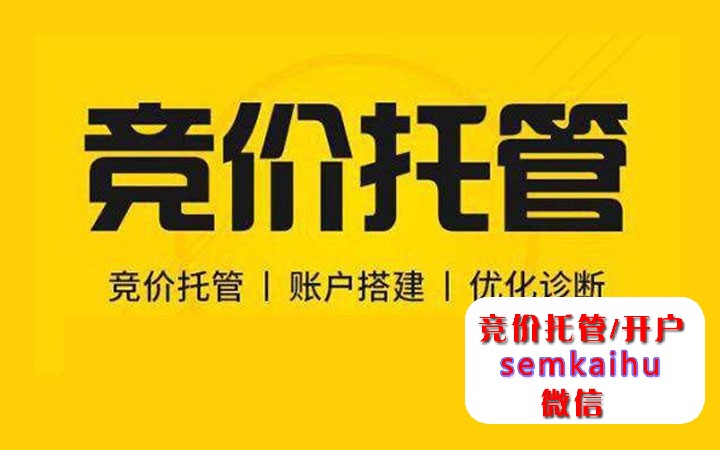 竞价托管服务